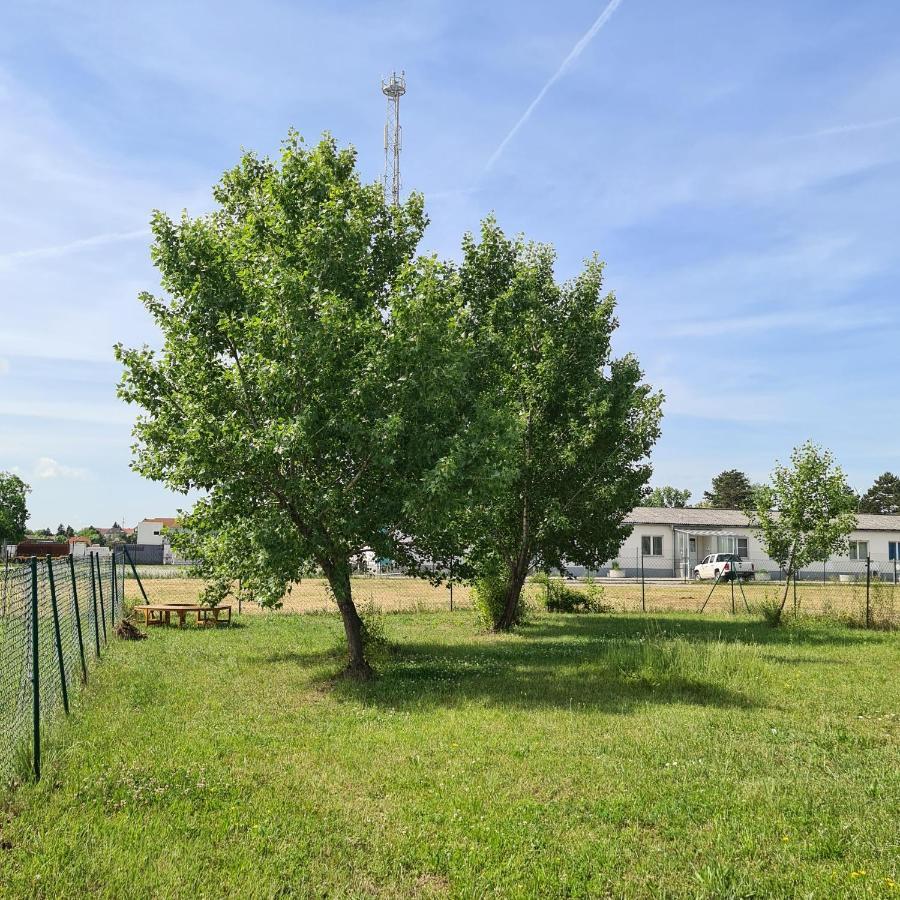 Tiny House Vila Neusiedl an der Zaya Exterior foto